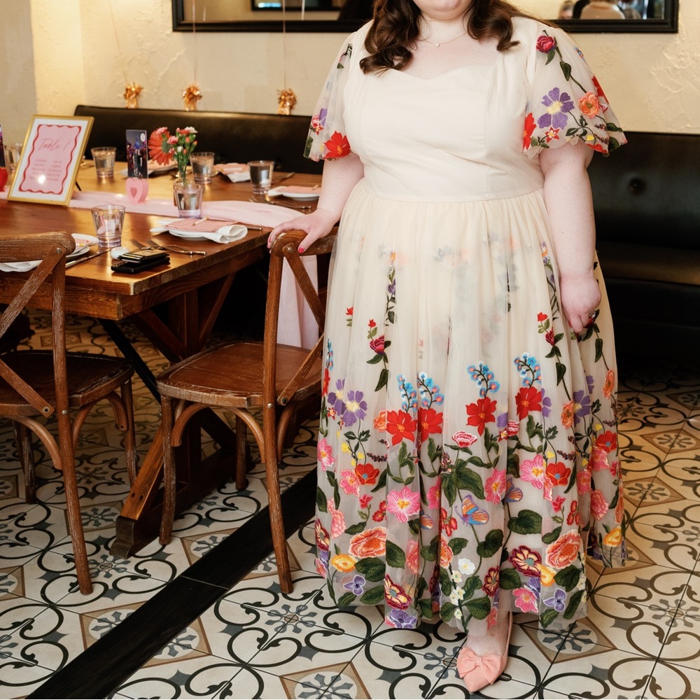 JessaKae Fairytale Embroidered Floral Blush Dress Plus Size 4X